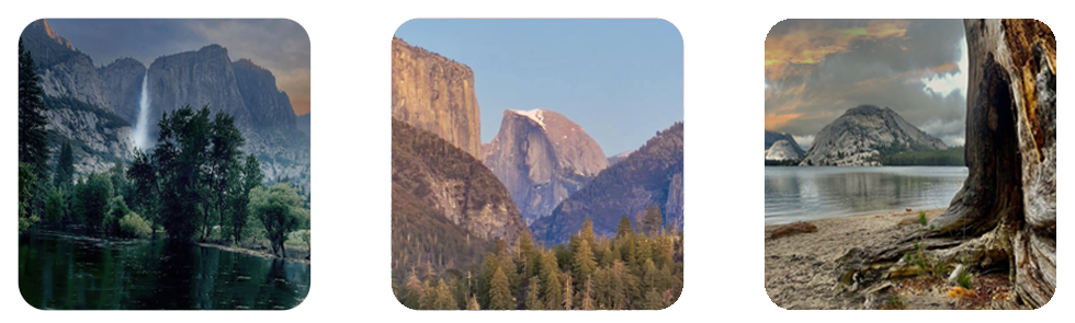 Made in Yosemite